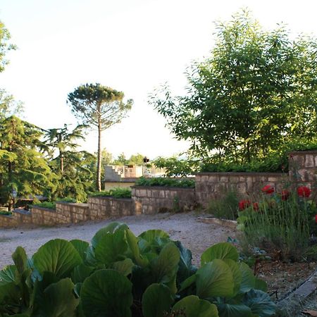 Apartmán Casa Titty Serre Di Rapolano Exteriér fotografie